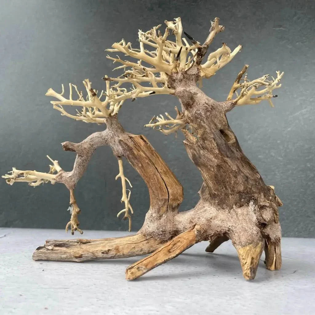Miniature driftwood bonsai tree.