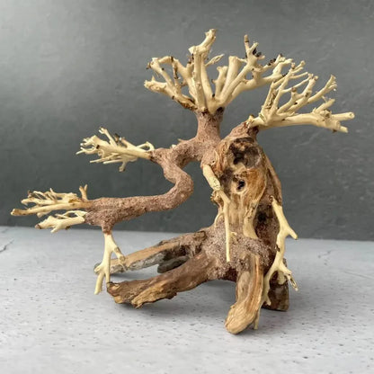 Miniature driftwood bonsai tree.