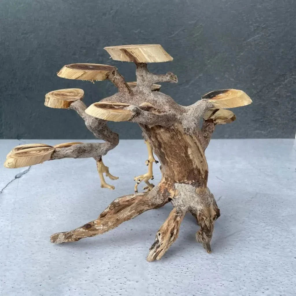 Wooden bonsai tree sculpture.