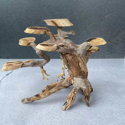 Wooden bonsai tree sculpture.
