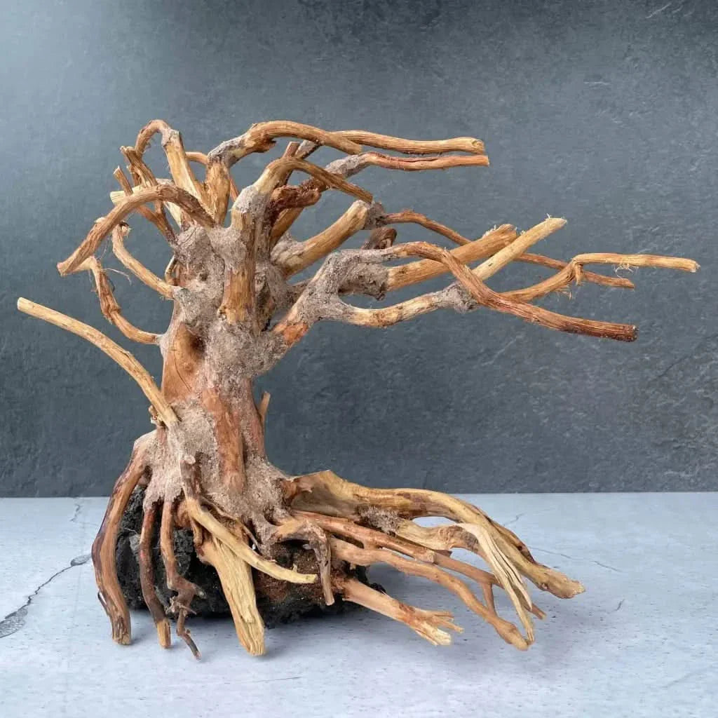 Intricate driftwood tree sculpture.