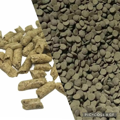 Bottom Feeder Food Combo (Shrimp Snow + Micro Algae Wafer)