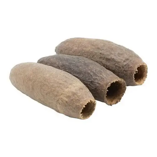 Three dried, brownish-tan, fibrous sea cucumber pods with rough textures and open ends.