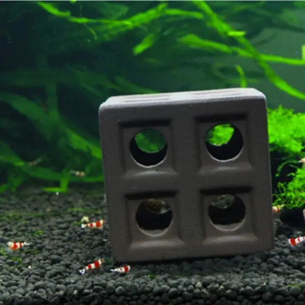 Square ceramic shrimp hideout.