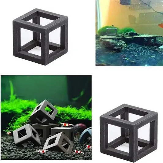 Open-frame cube aquarium decoration.