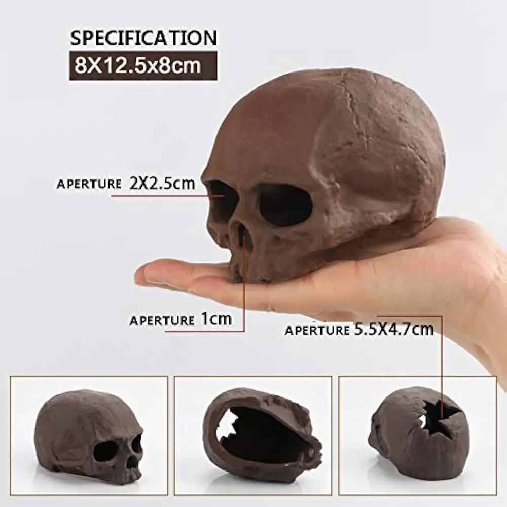 Brown skull aquarium decoration.