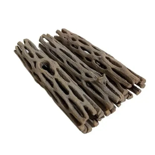 Hollowed-out cholla cactus wood.
