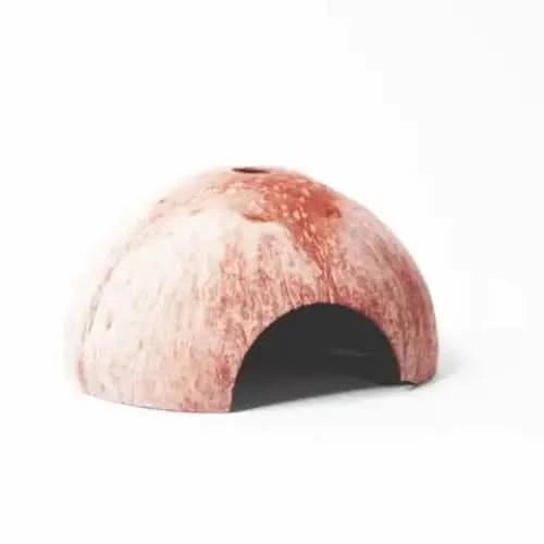 Coconut shell reptile hide.