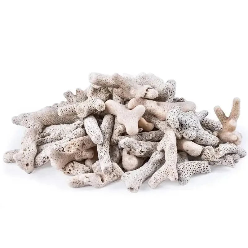 Pile of white coral pieces.