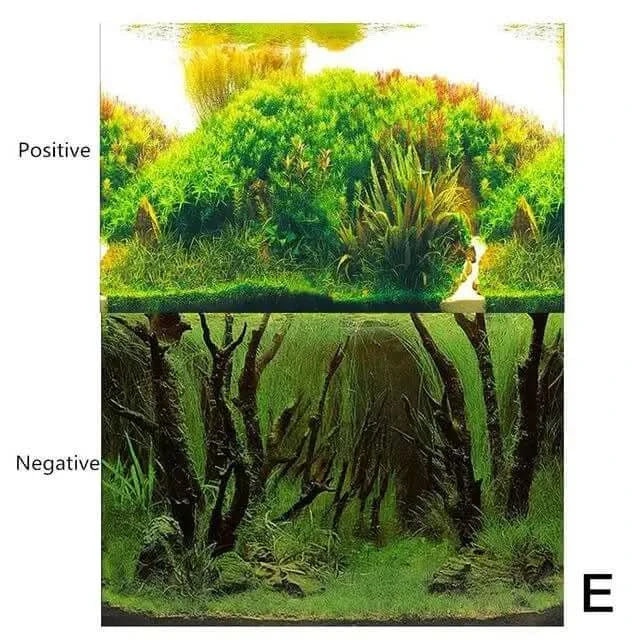 Aquatic plant arrangement.