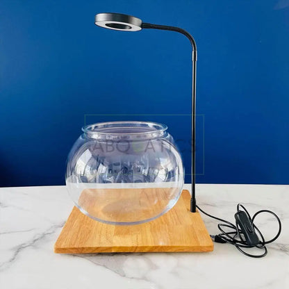 Fish Bowl With Light And Wooden Base