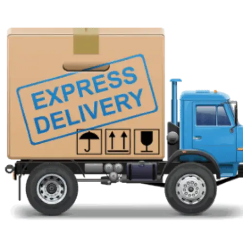 Flat Express Delivery Fee