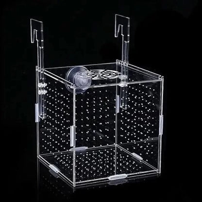 Clear acrylic aquarium breeder box.