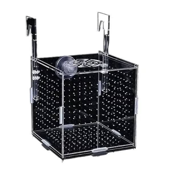 Clear acrylic fish breeding box.