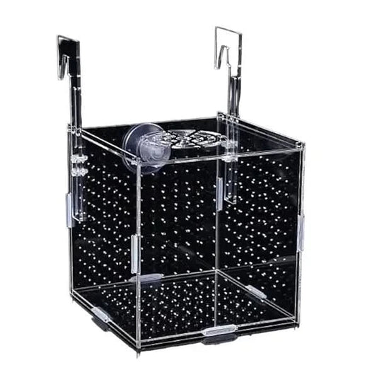 Clear acrylic fish breeding box.