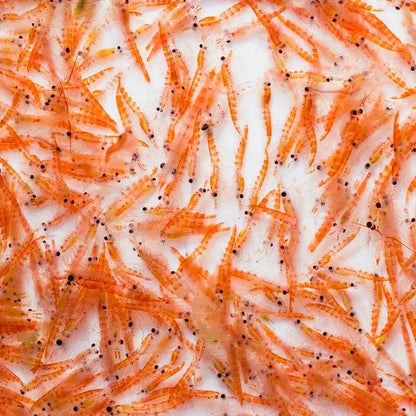 FREEZE DRIED KRILL 20G
