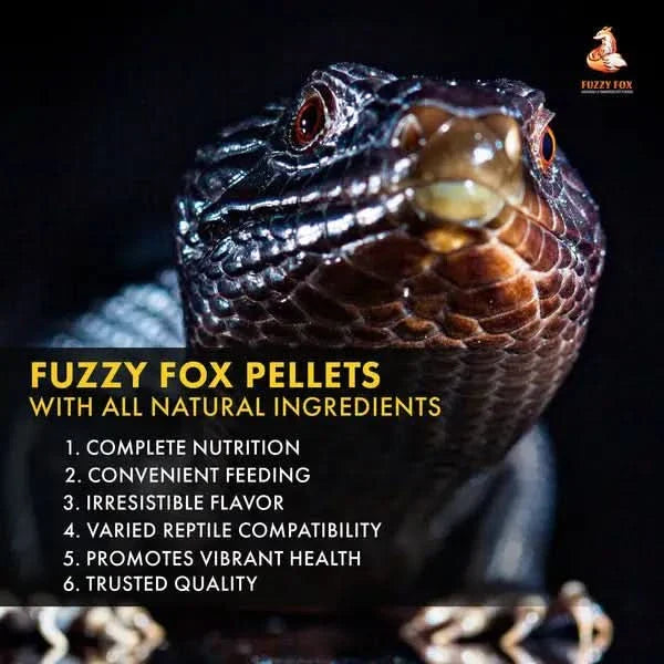 Reptile food pellets.