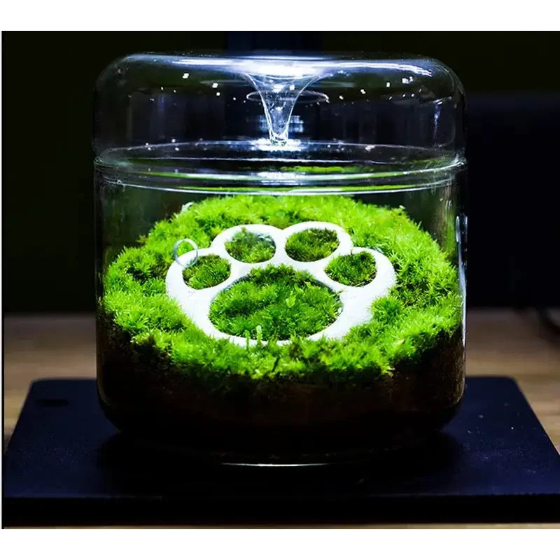 Geometric Terrarium 12cmx12cm