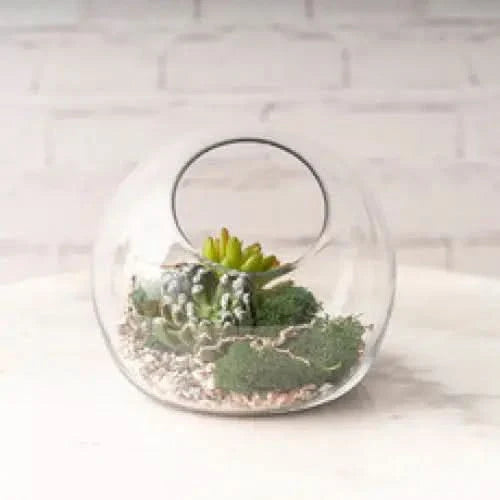 Glass terrarium with succulents.
