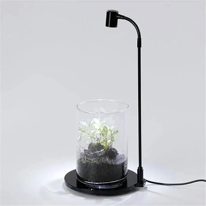 Grow Light With Base For Terrariums