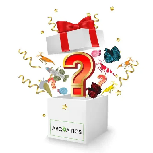 Aquatic mystery box.