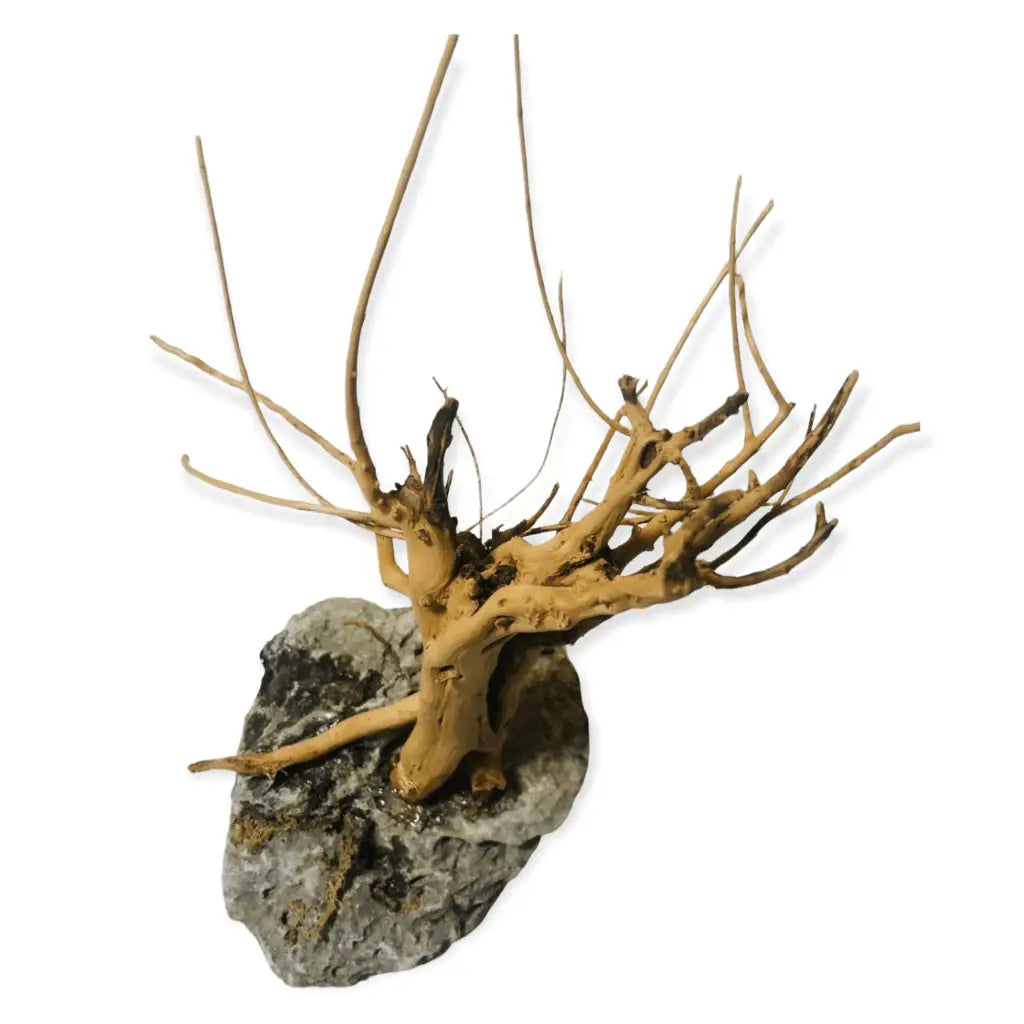 Handmade Tree For Nano Tanks