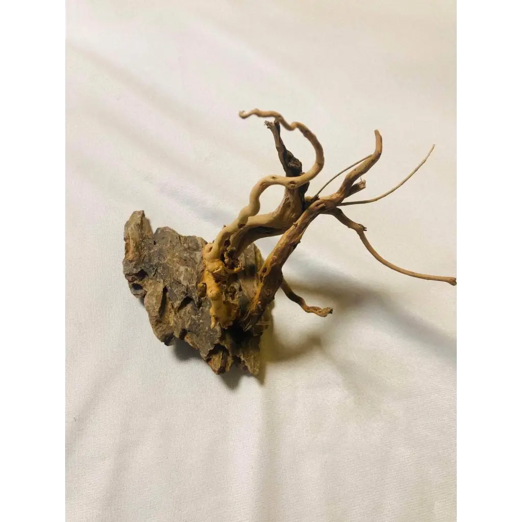 Handmade Tree For Nano Tanks