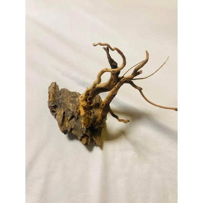 Handmade Tree For Nano Tanks