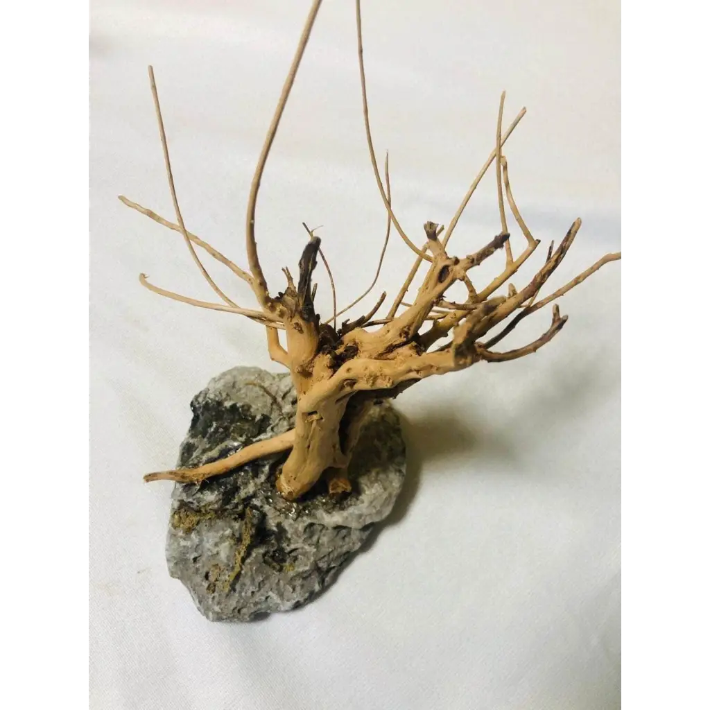 Handmade Tree For Nano Tanks