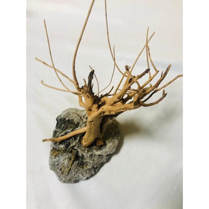 Handmade Tree For Nano Tanks