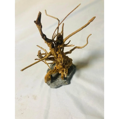 Handmade Tree For Nano Tanks