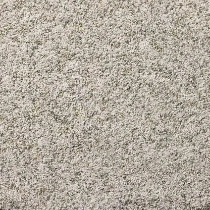 Granular, light gray surface.