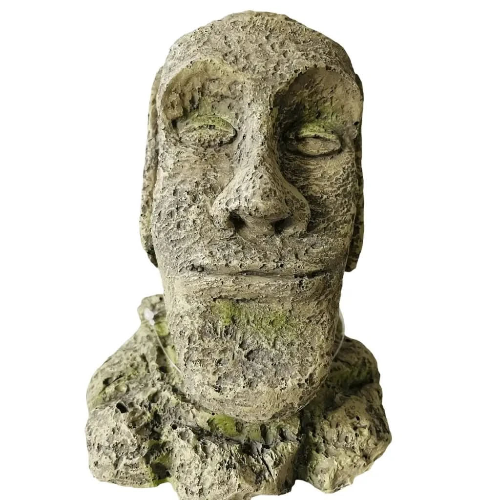 Weathered stone head sculpture.