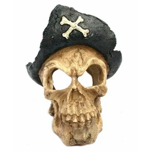 Pirate skull decoration.