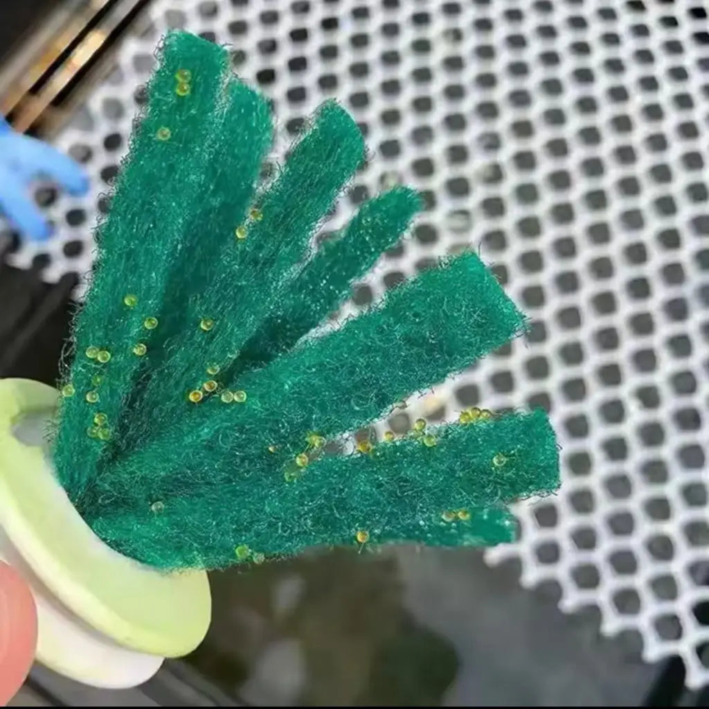 Medaka Rice Fish Spawning Mop