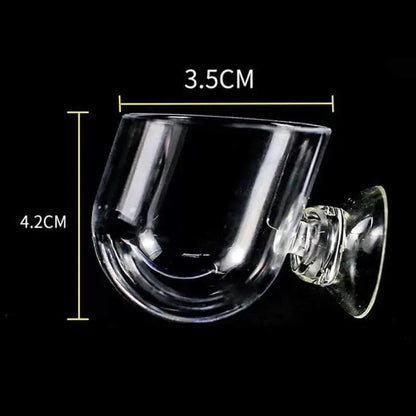 Mini Clean Plant Pot With Suction Cup
