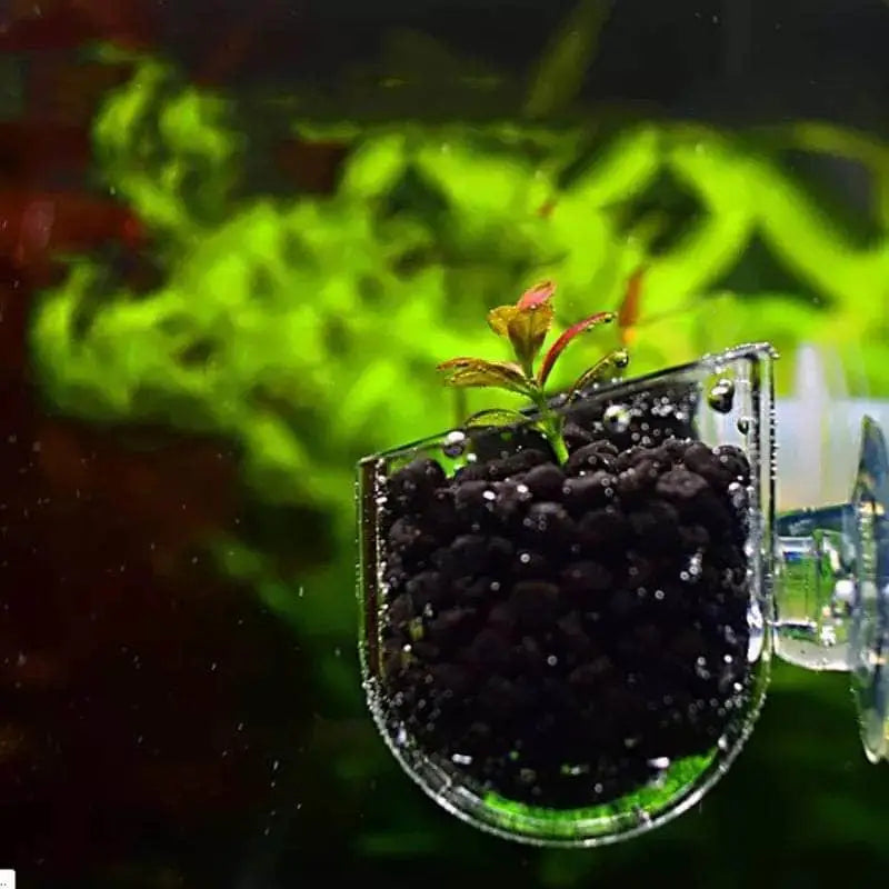 Mini Clean Plant Pot With Suction Cup