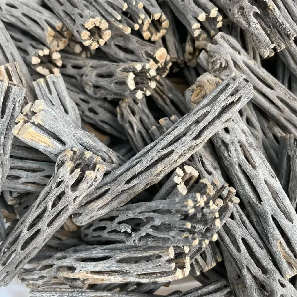 Pile of gray cholla wood.