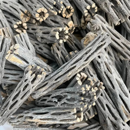 Pile of gray cholla wood.