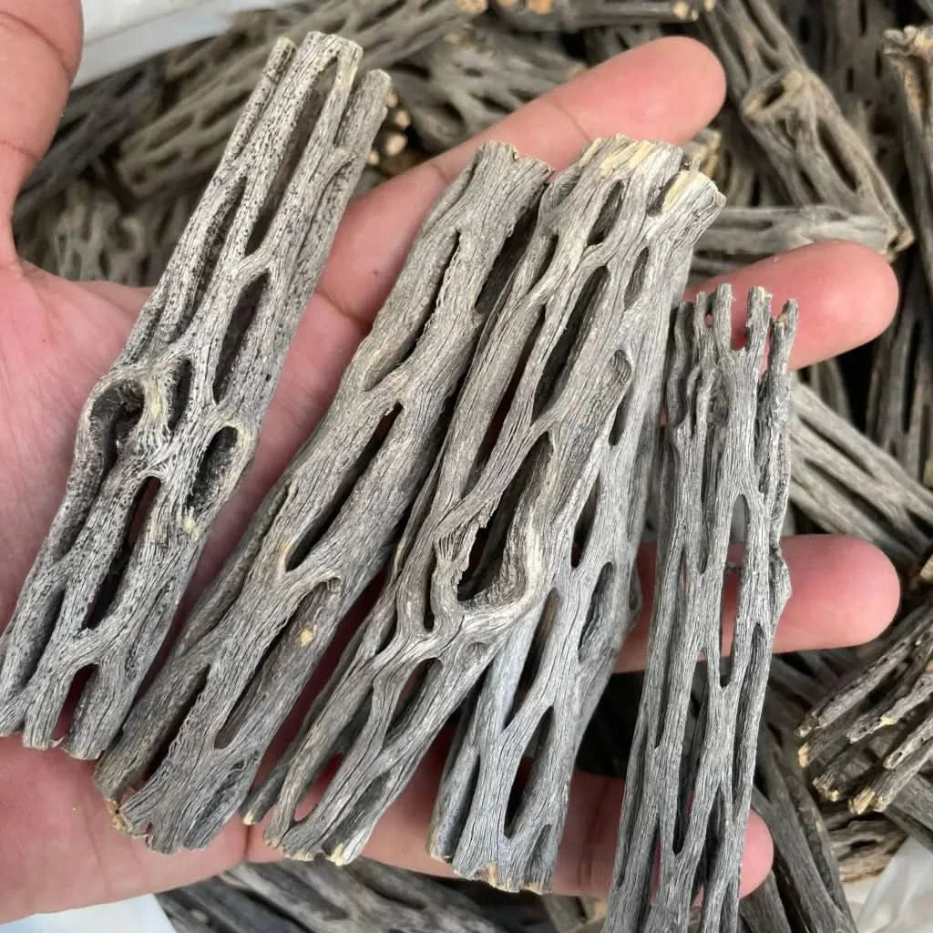 Hollowed-out cholla cactus wood pieces.