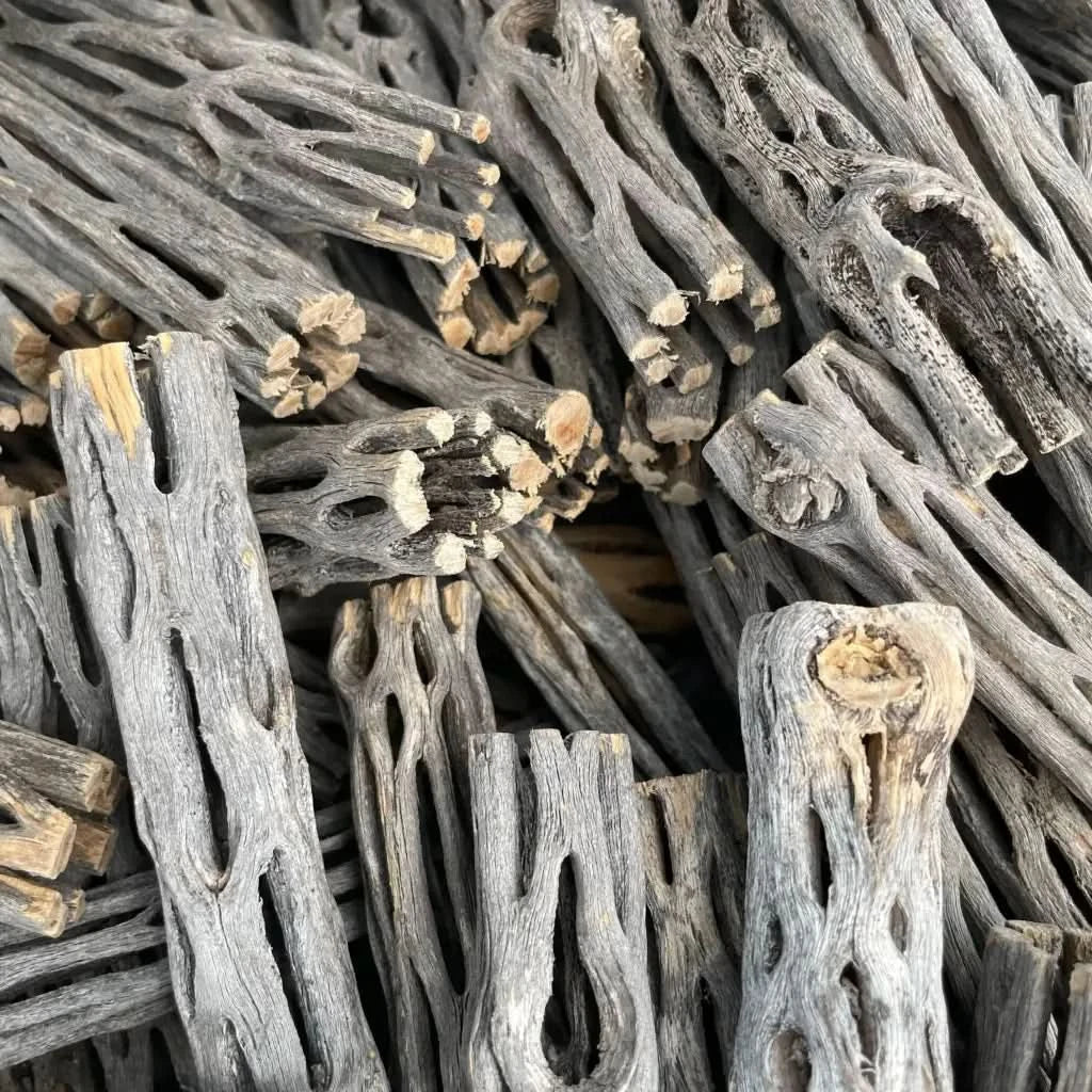 Pile of cholla wood.