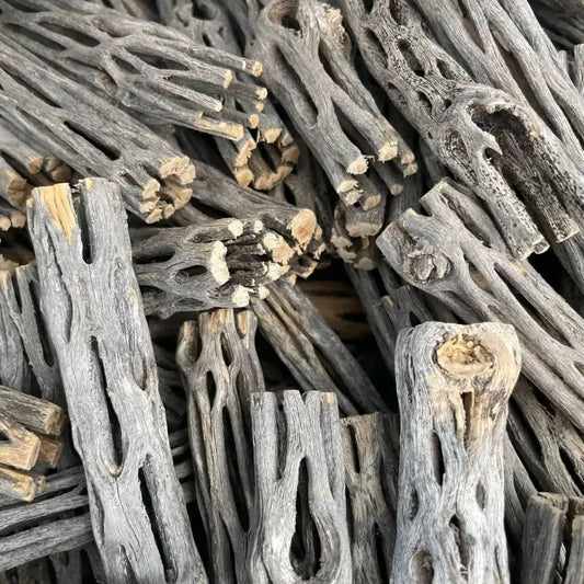 Pile of cholla wood.