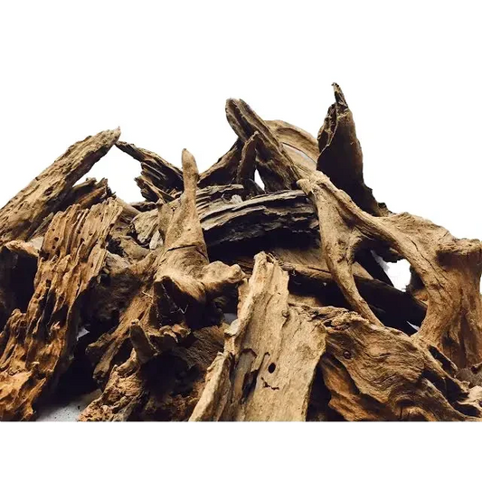 Intricate driftwood pile.