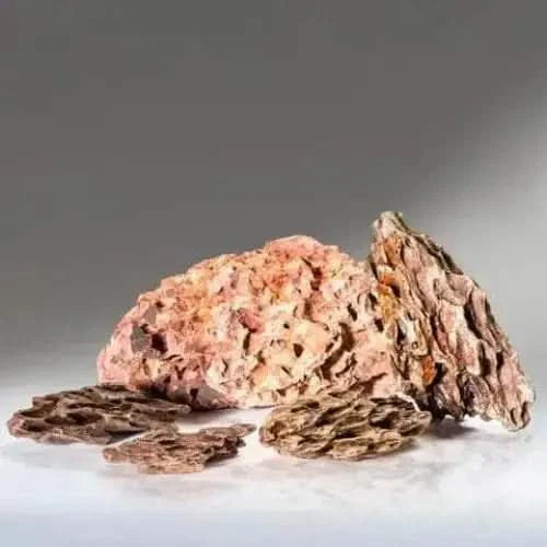 Porous, reddish-brown rocks.