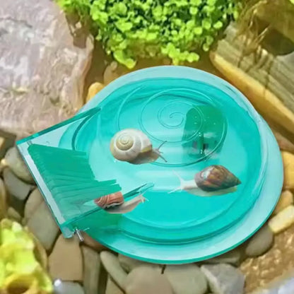 Turquoise snail habitat with spiral design and clear acrylic sides.