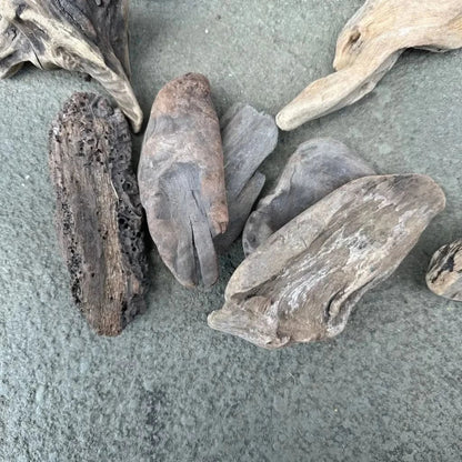 Assorted pieces of driftwood.