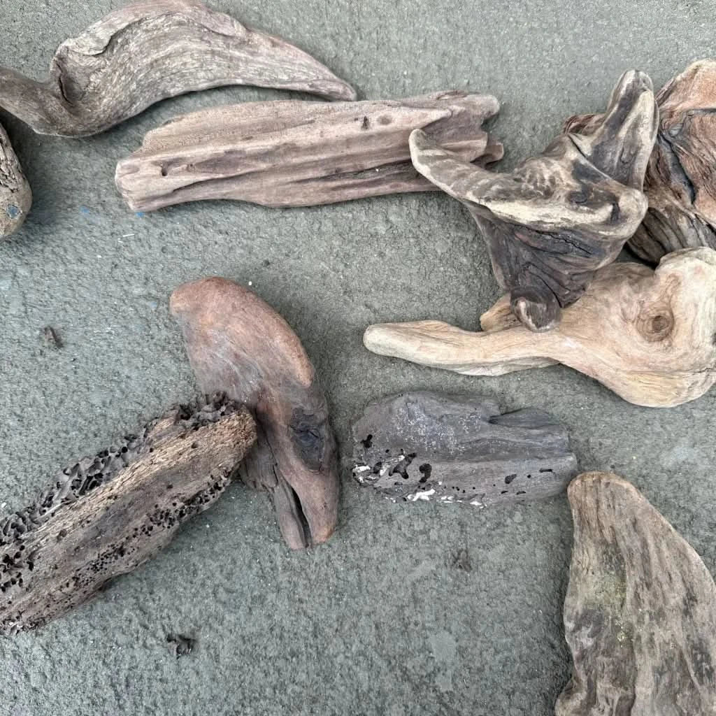 Assorted pieces of driftwood.