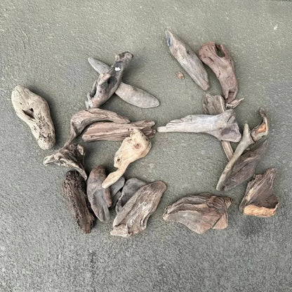 Assorted pieces of driftwood.