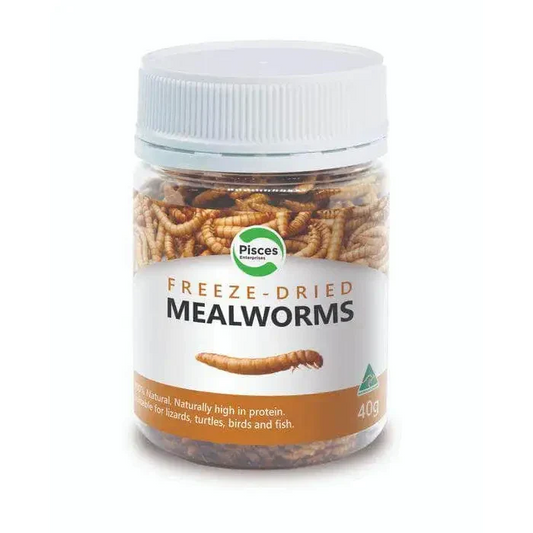 Jar of freeze-dried mealworms.