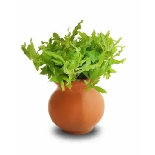 Pogo Helferi Vase Urn 5cm
